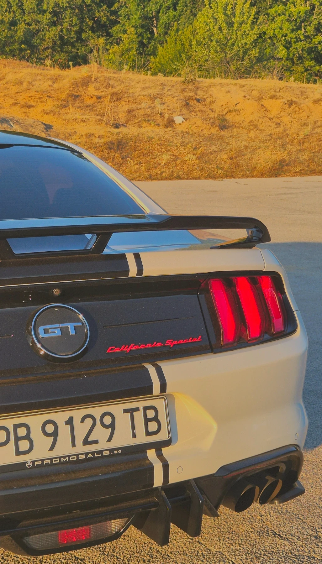 Ford Mustang GT/CS - изображение 9
