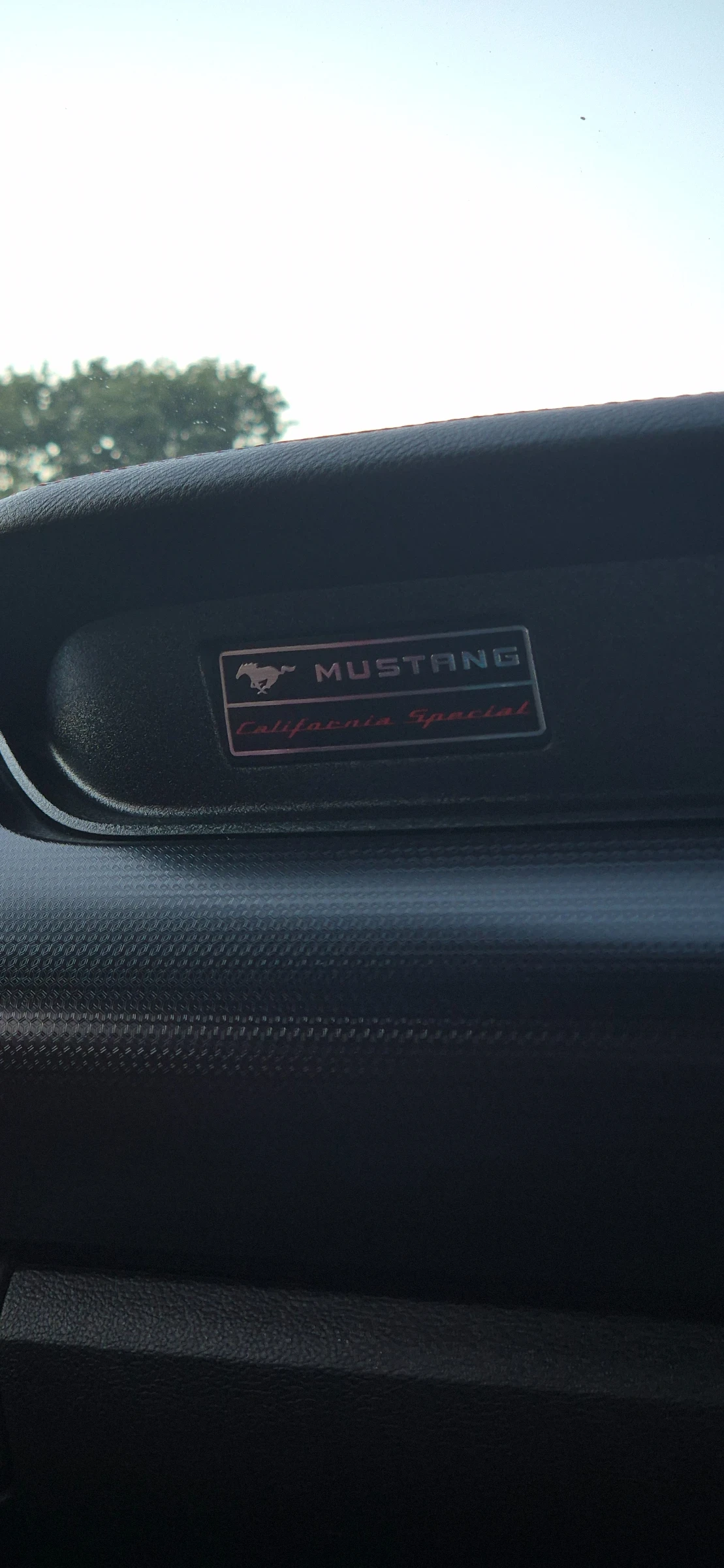 Ford Mustang GT/CS | Mobile.bg   14