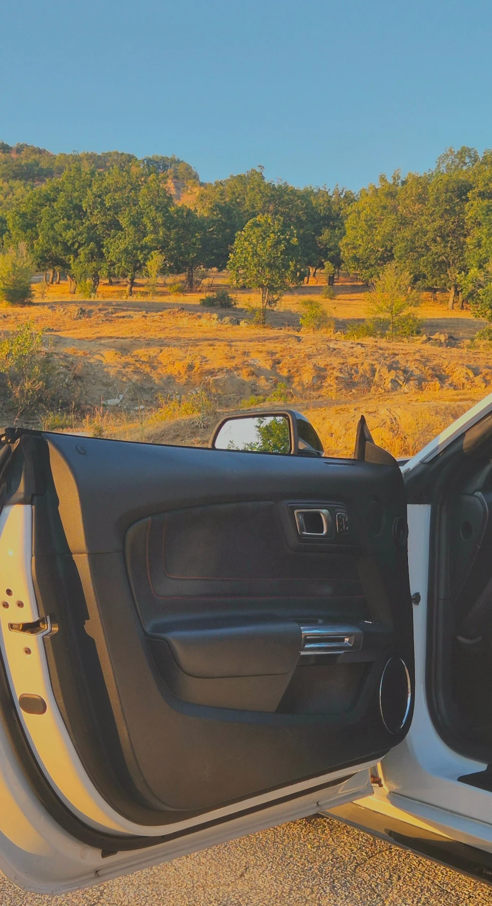 Ford Mustang GT/CS | Mobile.bg   12