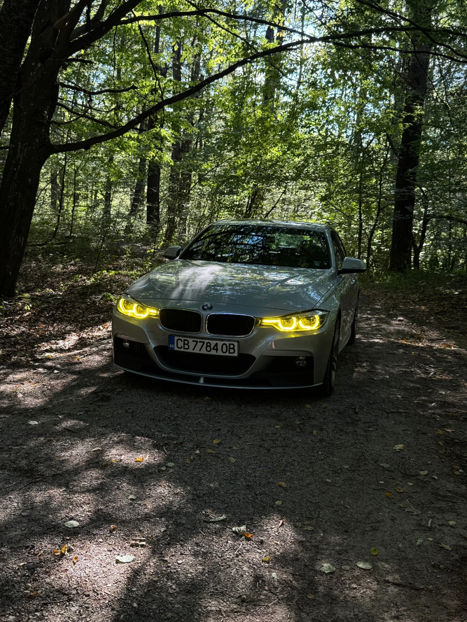 BMW 330, снимка 3 - Автомобили и джипове - 55769126