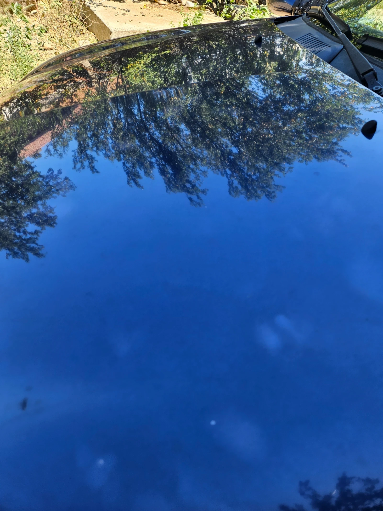 Renault Clio, снимка 14 - Автомобили и джипове - 55220192