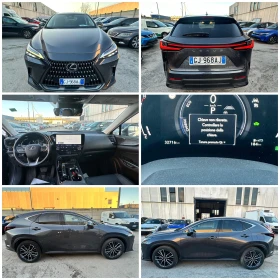 Lexus NX 350h  2.5h 243. luxury 32000    4x4 | Mobile.bg    17