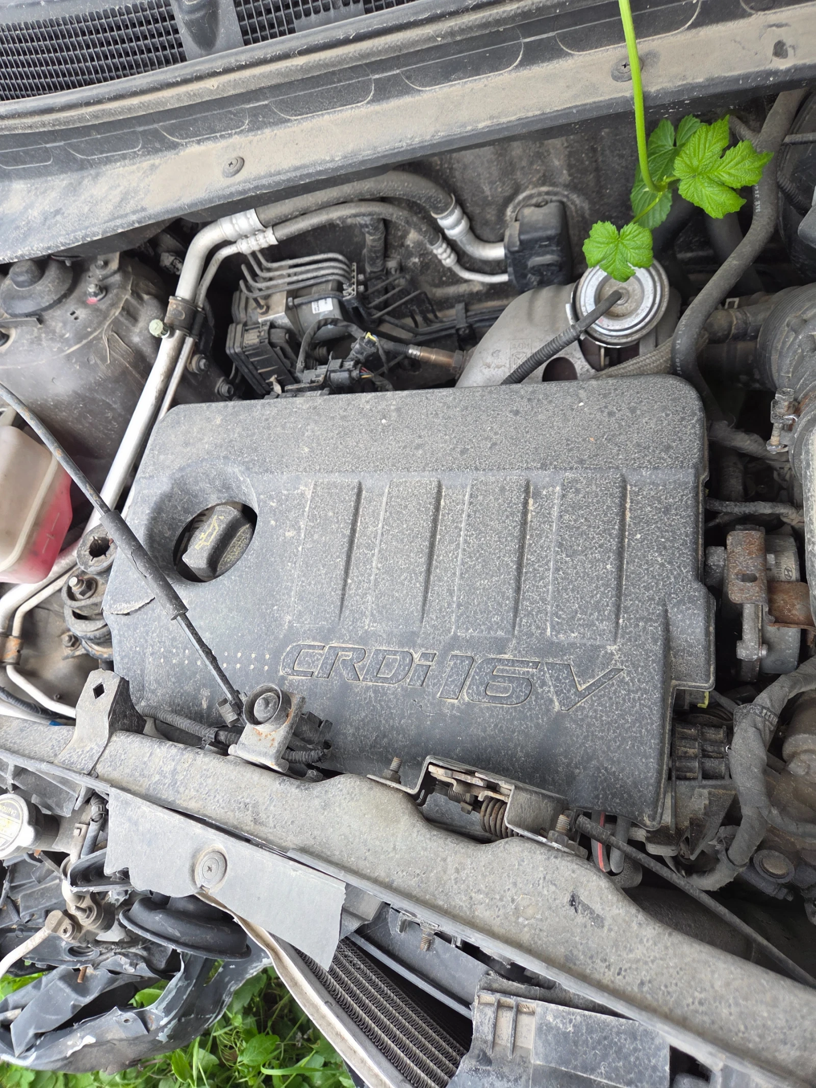 Kia Sportage 1.7 D, снимка 3 - Автомобили и джипове - 54550267