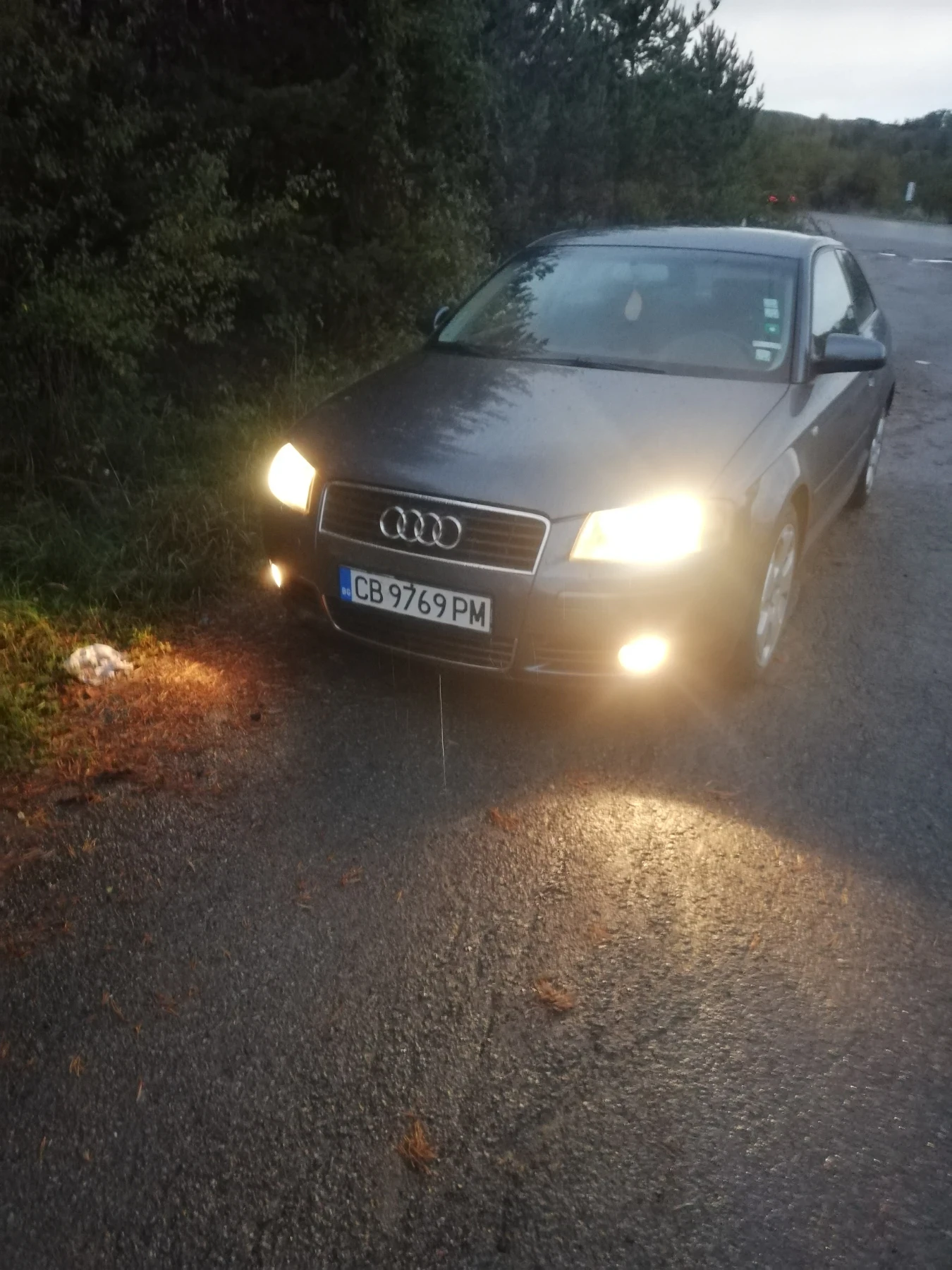 Audi A3 8п - изображение 5