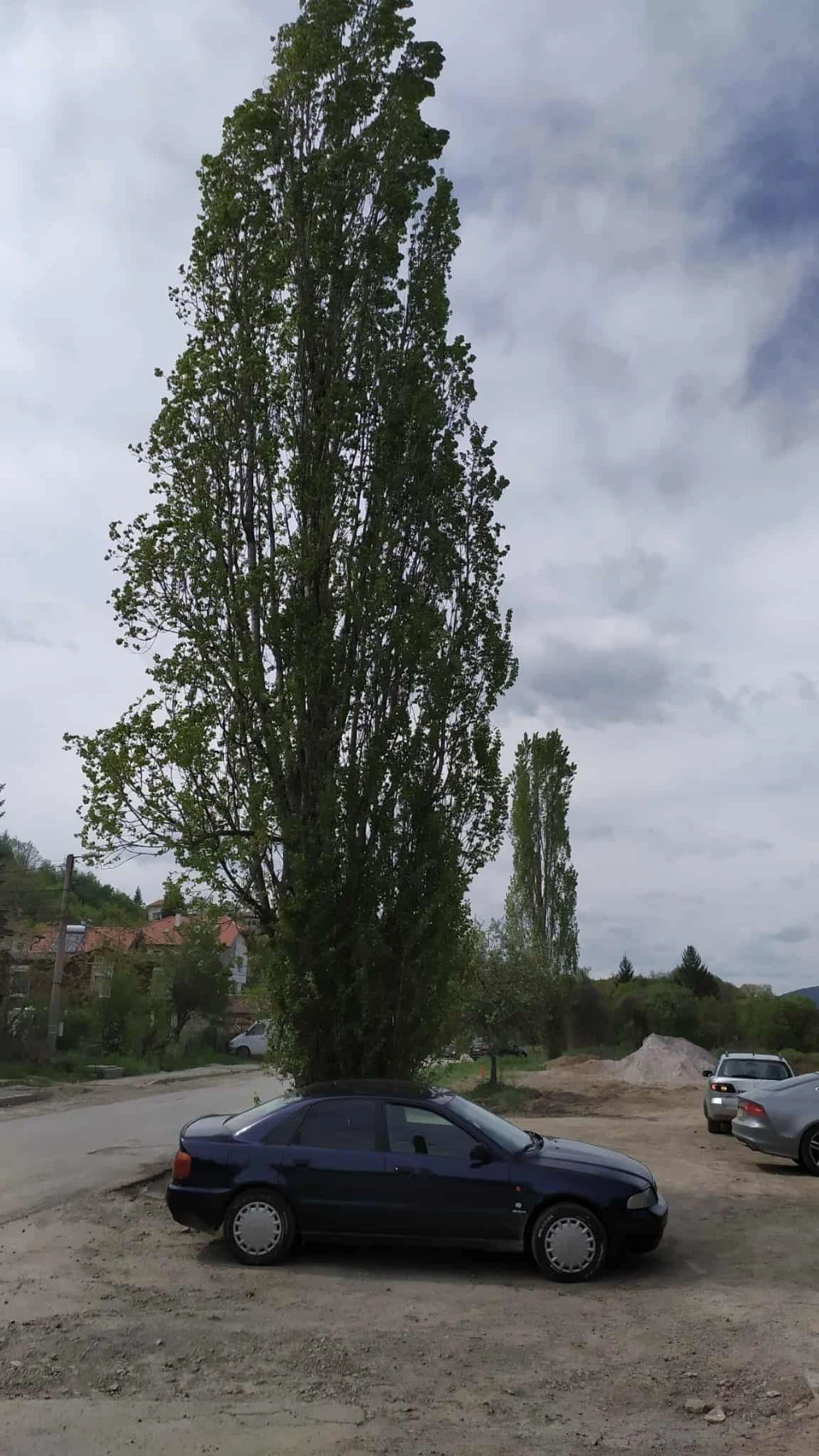 Audi A4 | Mobile.bg   6