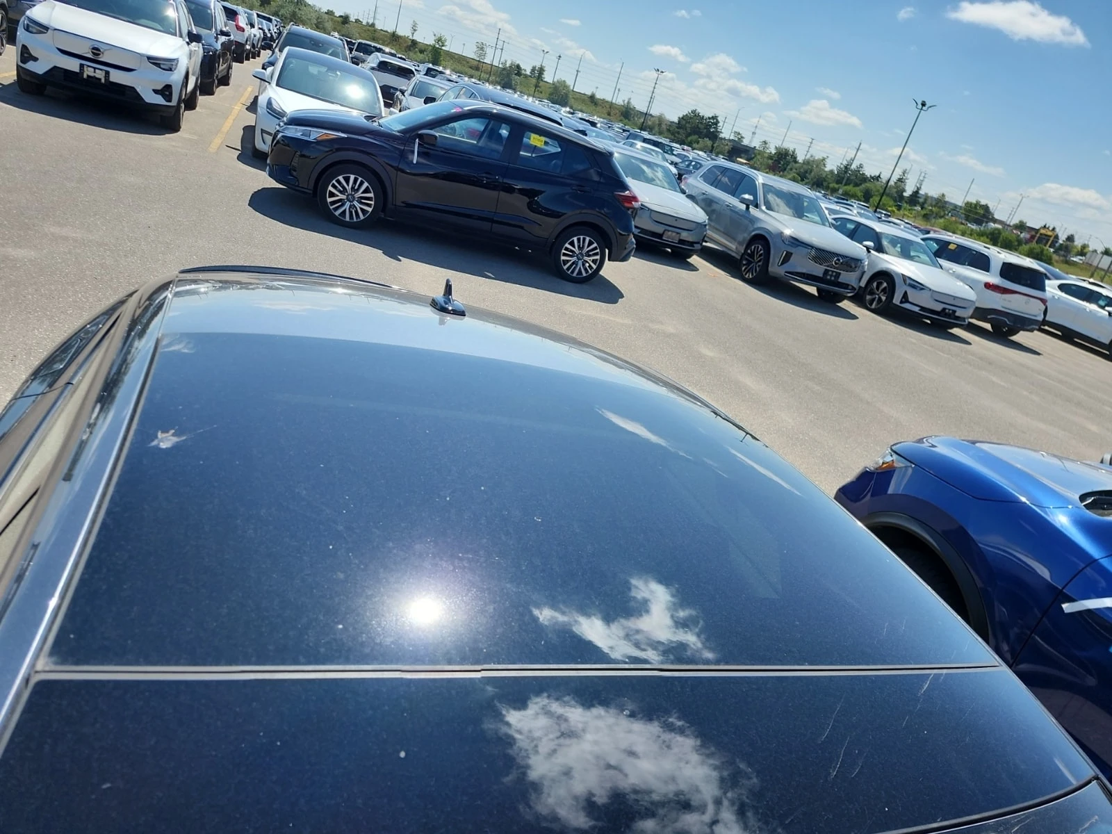 Audi A5  TECHNIK / DISTRONIC / 360 / PANORAMA , снимка 6 - Автомобили и джипове - 55939806