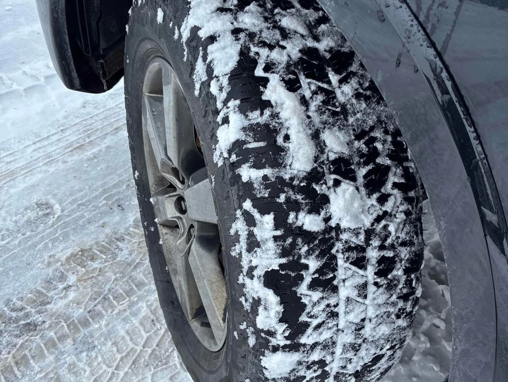 Ford F150 2026 4WD SuperCrew * ��� ������������ ������ | Mobile.bg � ����������� 15