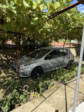 Peugeot 307 1.6, снимка 1