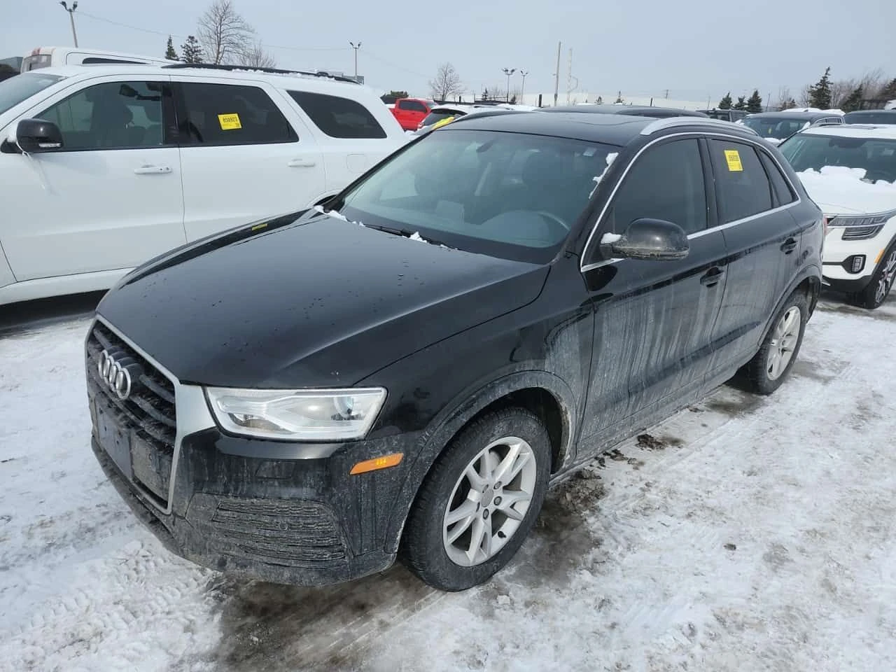 Audi Q3 * PROGRESSIV * ������� * �������� * ��� ����� | Mobile.bg � ����������� 1