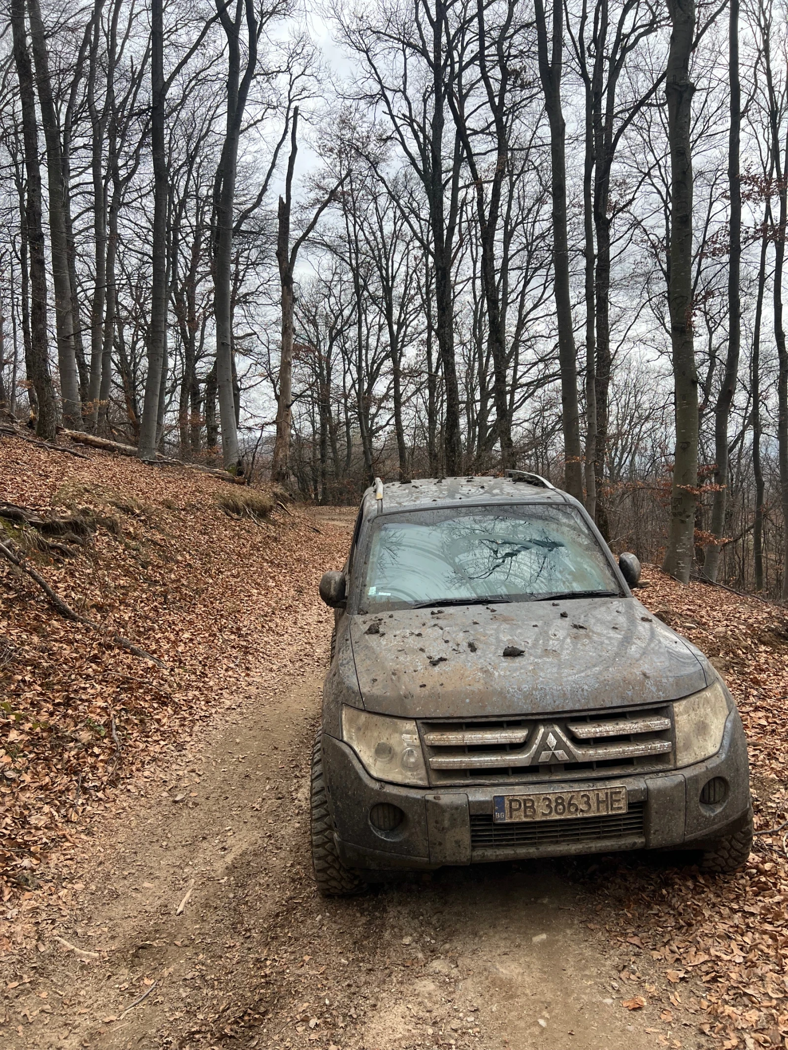 Mitsubishi Pajero