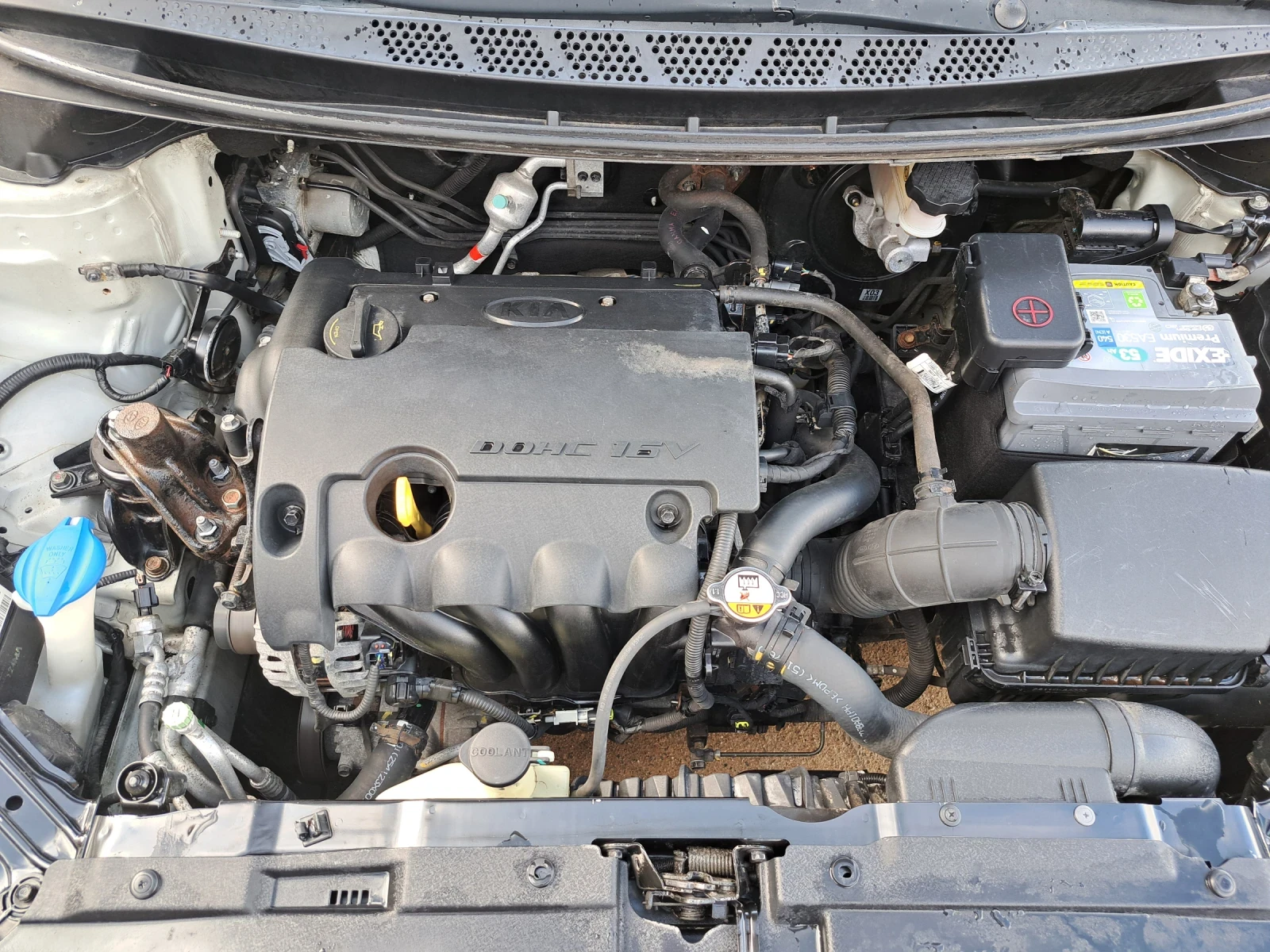 Kia Ceed 1.4i 6�������� * ������* 197000��.* �������� ����� | Mobile.bg � ����������� 17