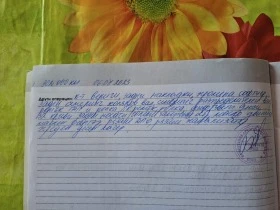 Audi A8 4, 2 tdi Exclusive, Сменени вериги!, снимка 15