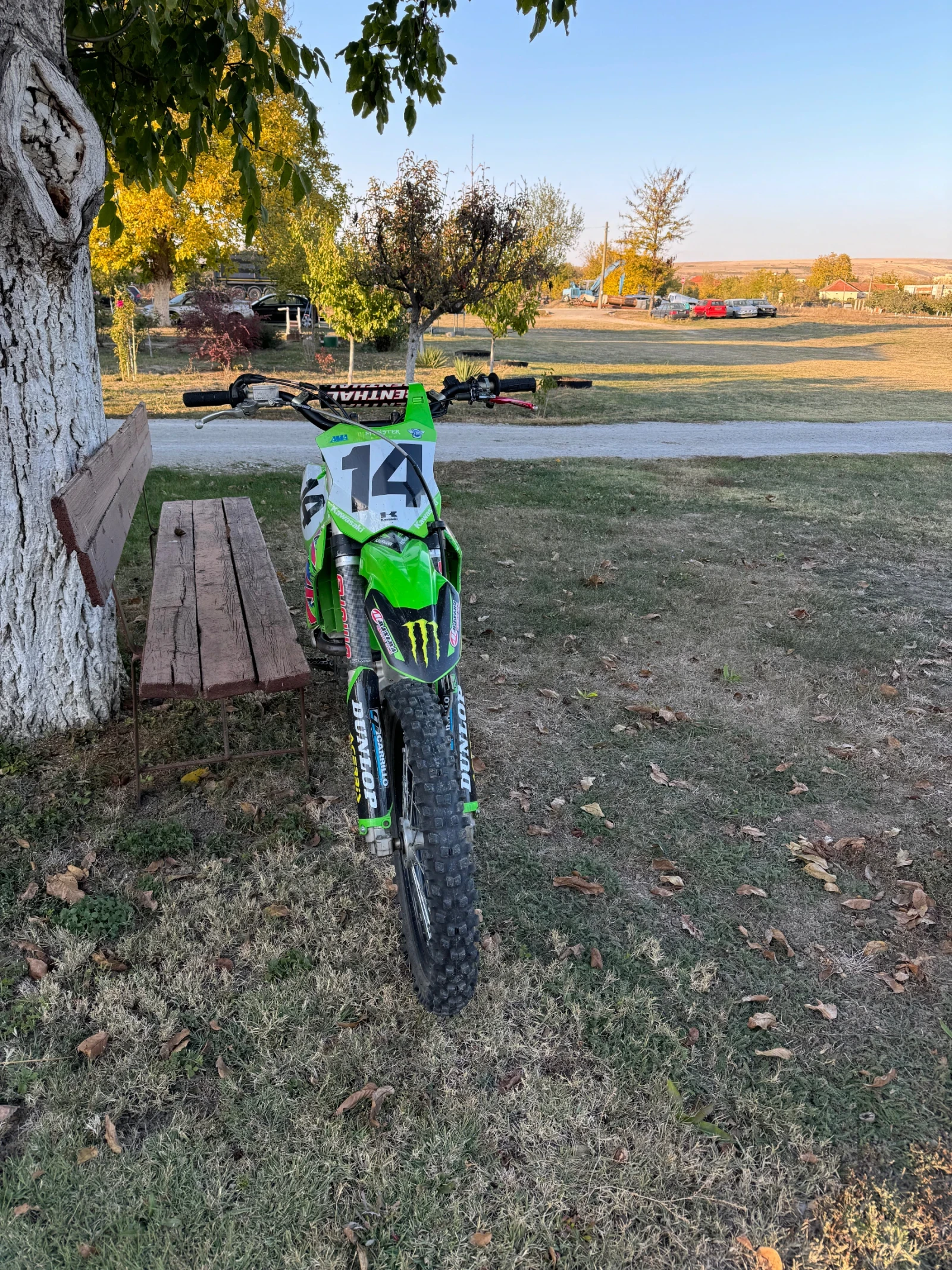 Kawasaki Kfx  - изображение 4