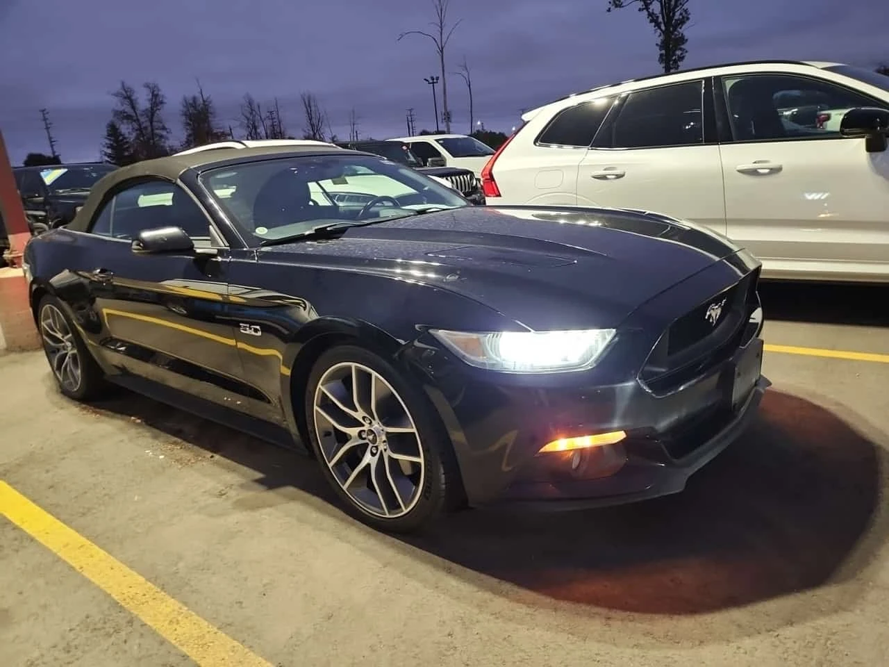 Ford Mustang 2dr Conv Gt Premium * CARFAX * ���������� *  | Mobile.bg � ����������� 5