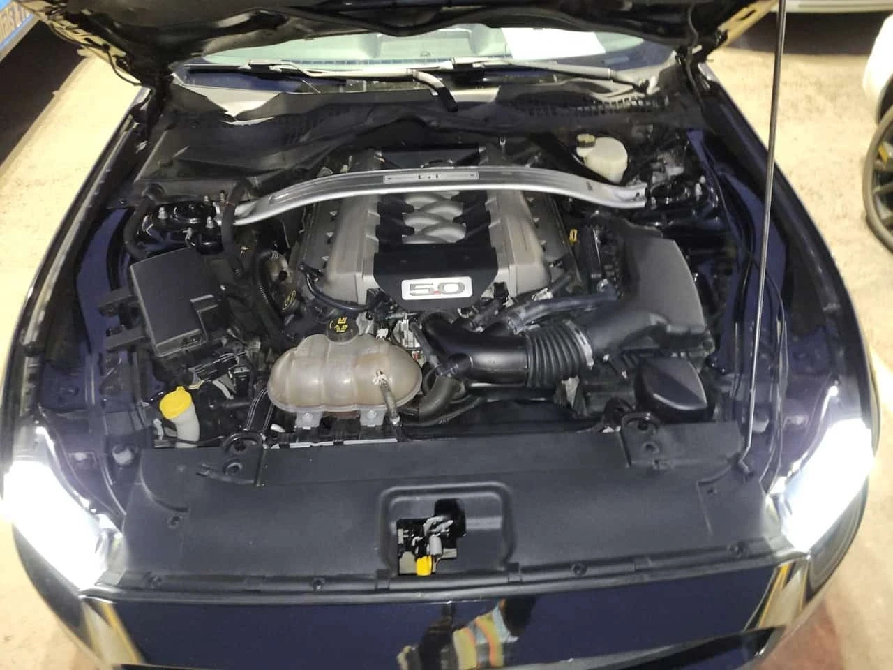 Ford Mustang 2dr Conv Gt Premium * CARFAX * ���������� *  | Mobile.bg � ����������� 17