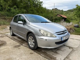  Peugeot 307