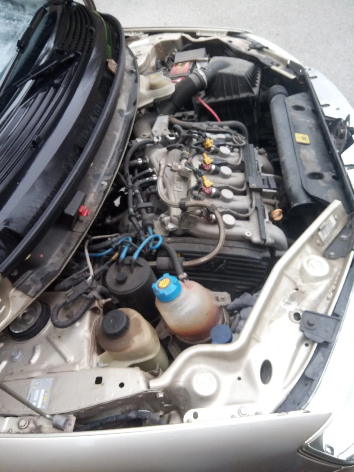 Fiat Multipla | Mobile.bg   3