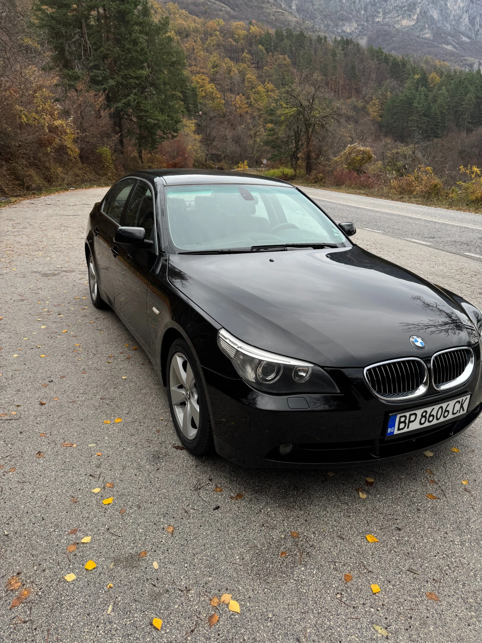 BMW 530 XD, снимка 2 - Автомобили и джипове - 54483967