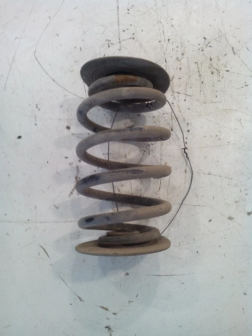 Задна пружина за Рено Клио