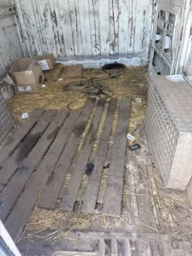 Renault Master, снимка 3 - Бусове и автобуси - 53607522