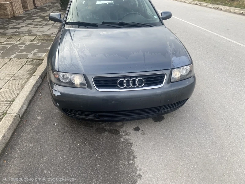 Audi A3 1.9 TDI, снимка 5 - Автомобили и джипове - 53277201