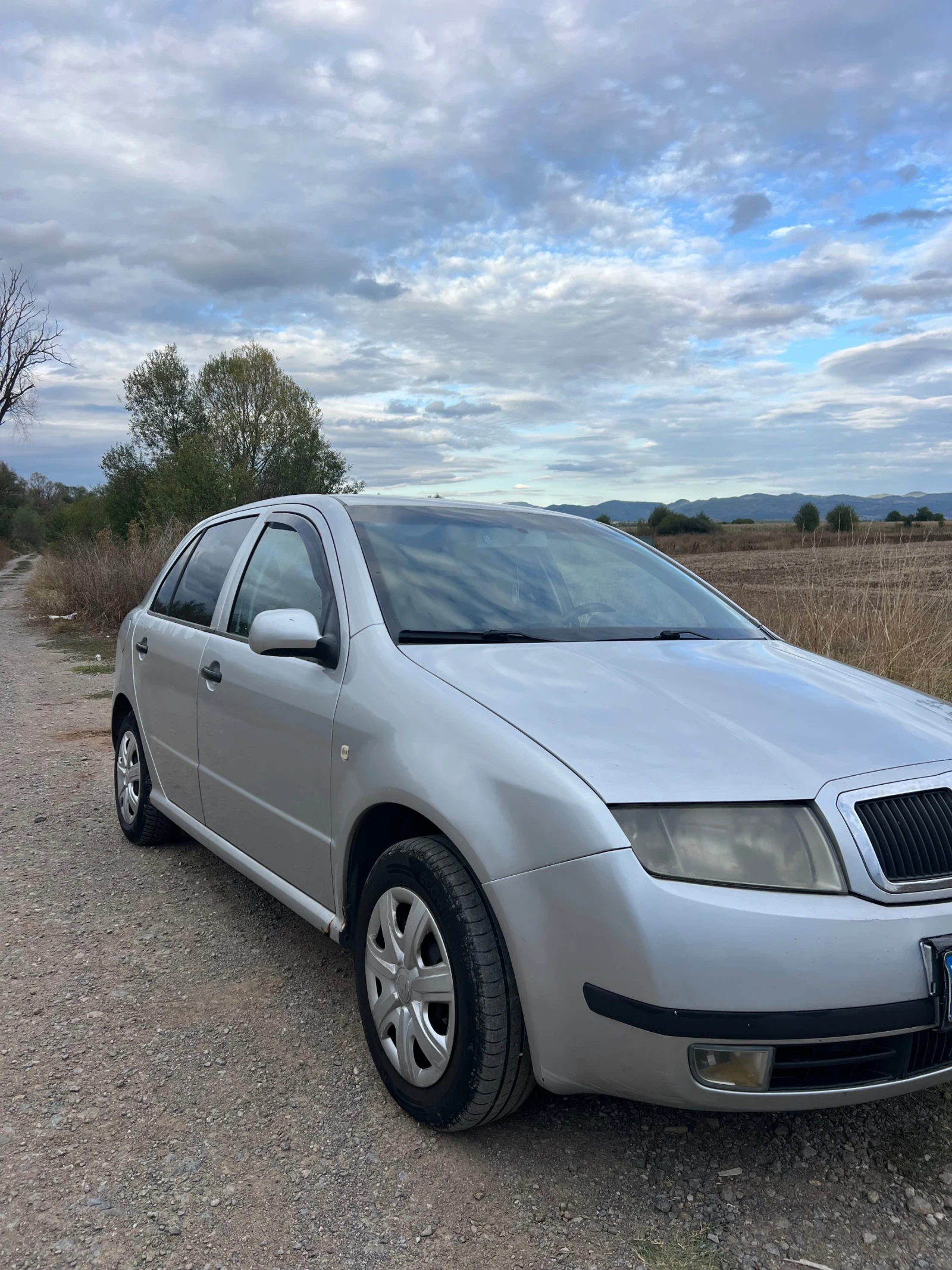 Skoda Fabia 1.9 , снимка 2 - Автомобили и джипове - 53785789