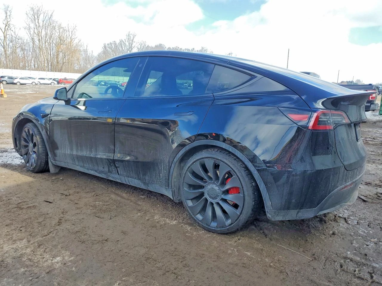 Tesla Model Y, снимка 3 - Автомобили и джипове - 54297383