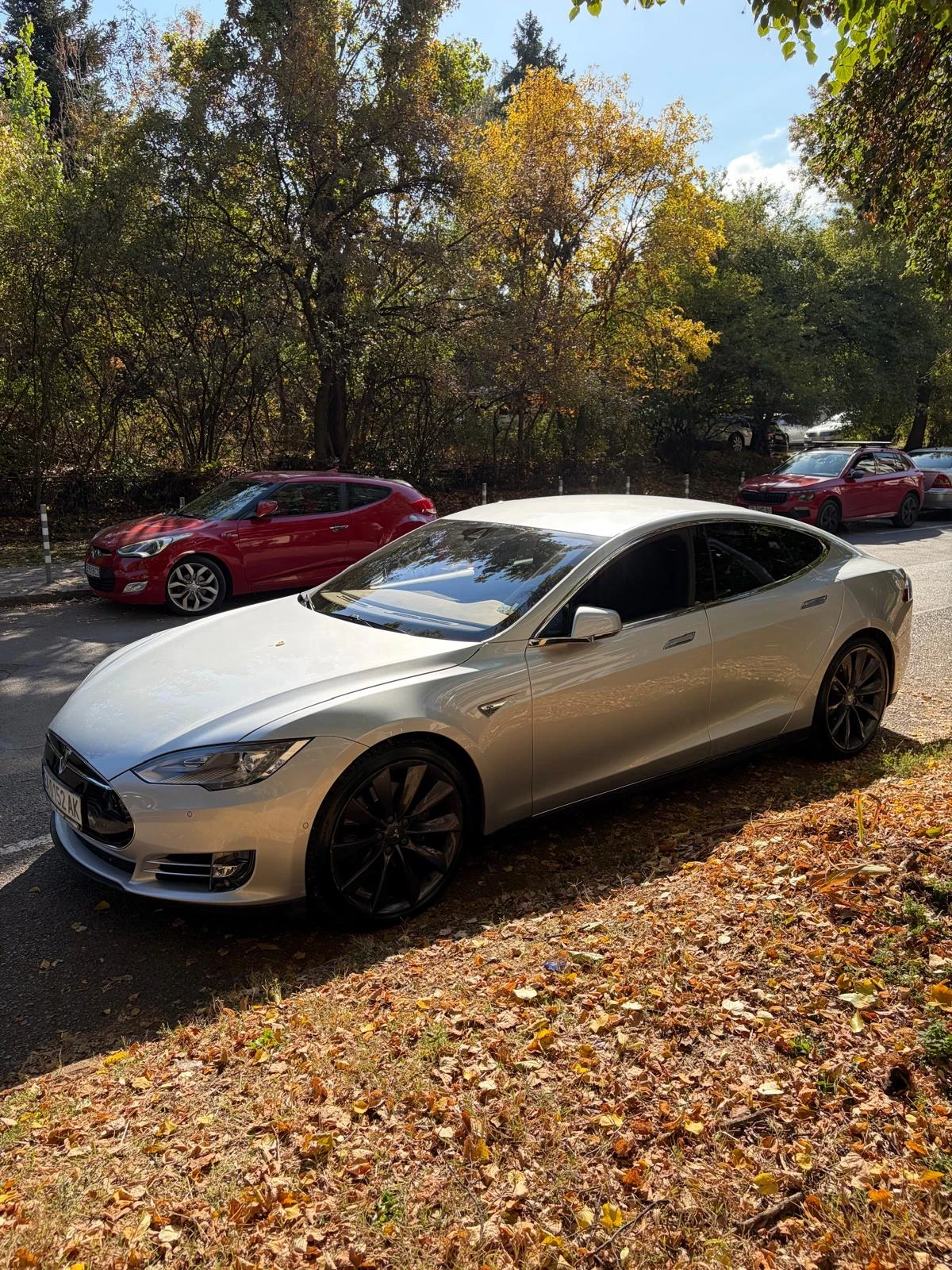 Tesla Model S 85D Free supercharging 
