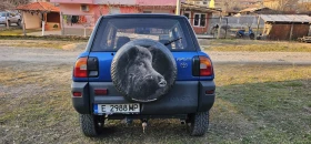 Toyota Rav4, снимка 5