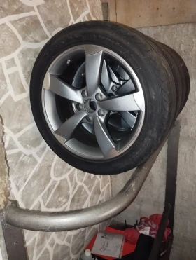 ������ ������