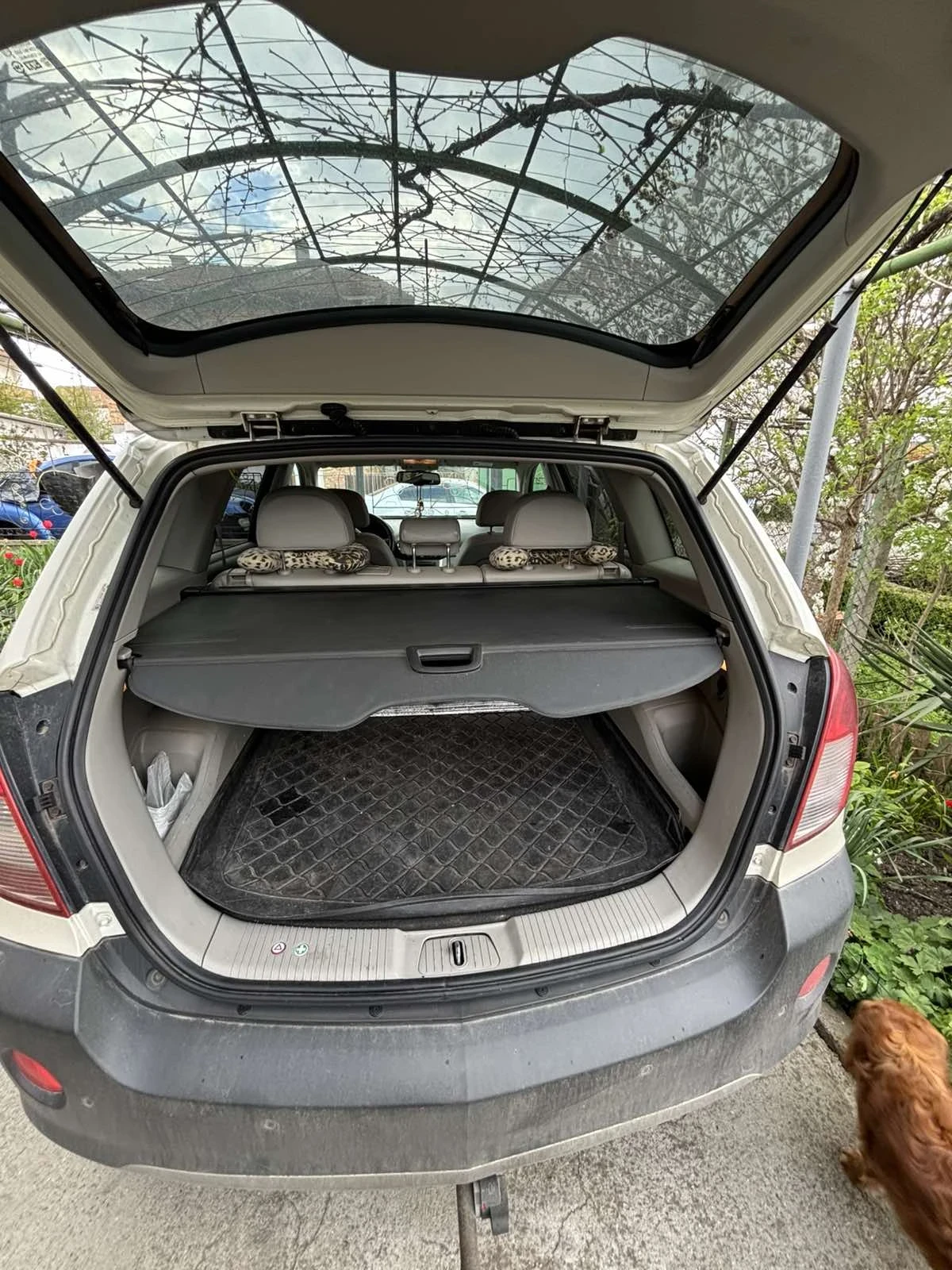 Opel Antara, снимка 11 - Автомобили и джипове - 54244647