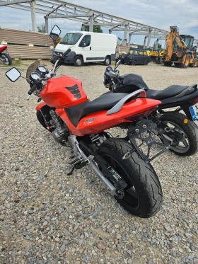 Honda Hornet   | Mobile.bg    7