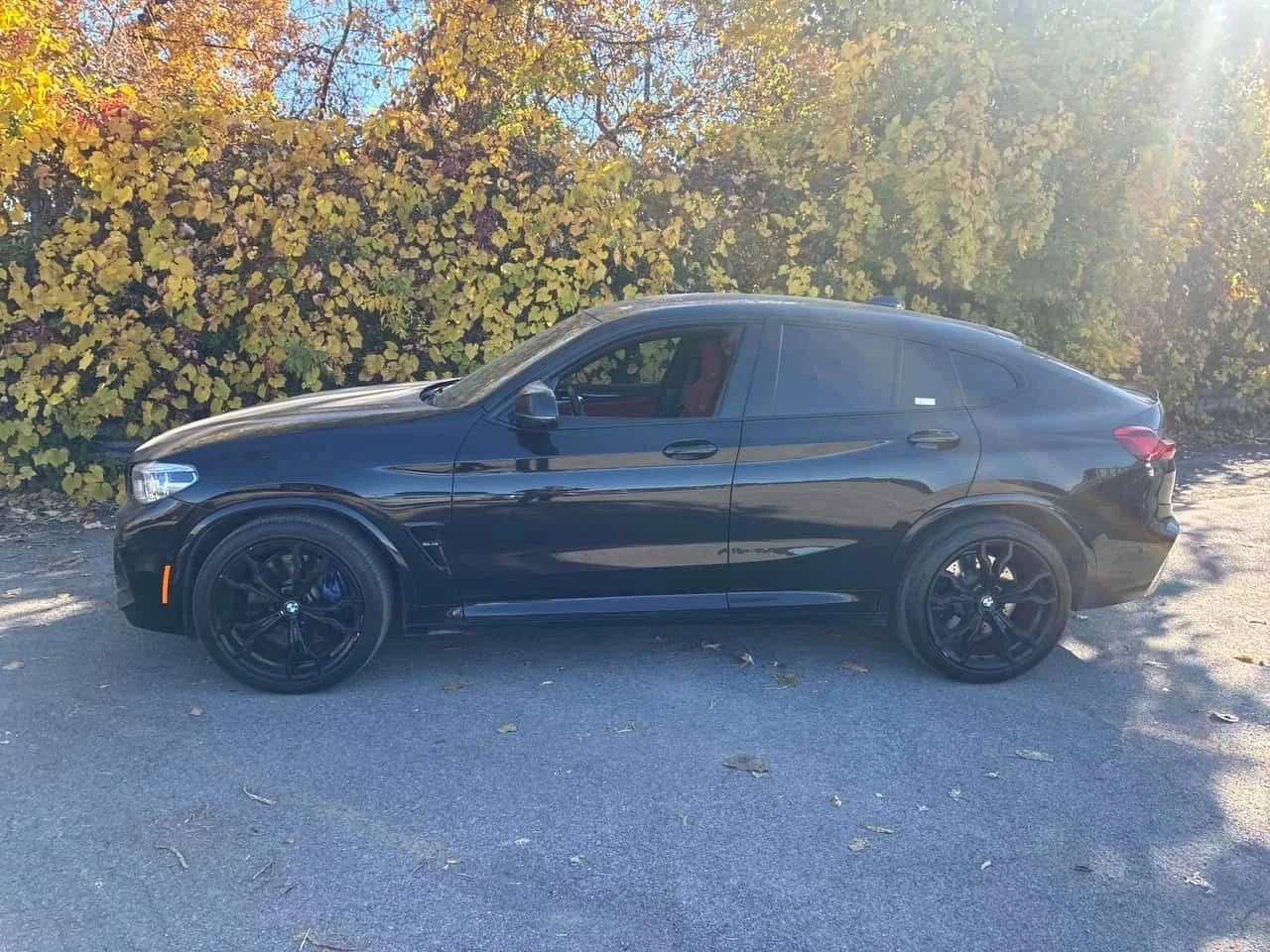 BMW X4, снимка 2 - Автомобили и джипове - 56688029