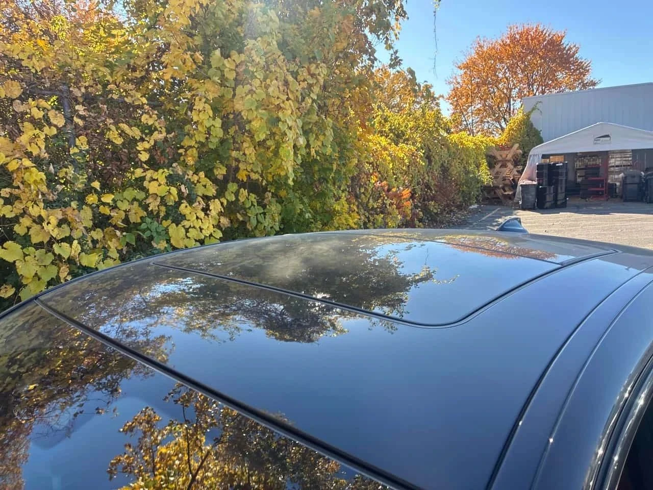 BMW X4, снимка 15 - Автомобили и джипове - 56688029