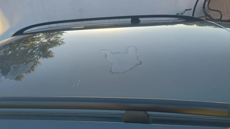 BMW 320, снимка 14 - Автомобили и джипове - 51781367