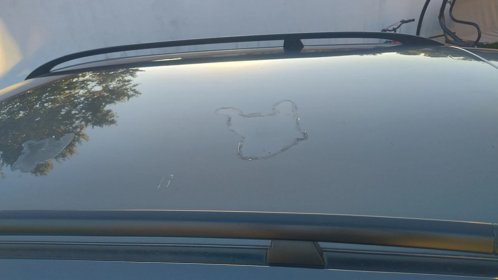 BMW 320 | Mobile.bg   14