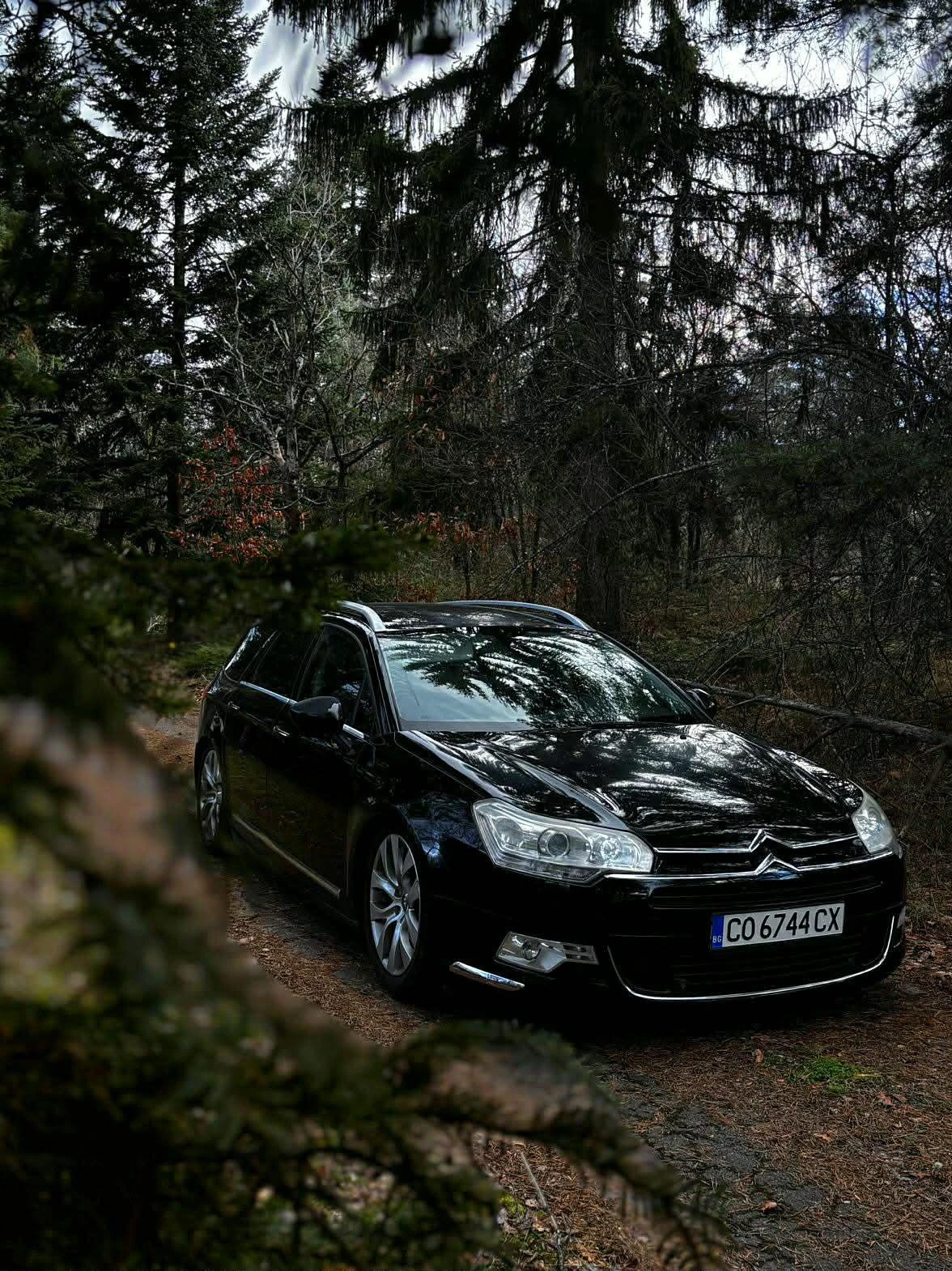 Citroen C5
