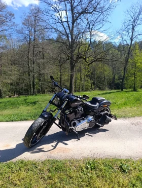 Harley-Davidson Softail BREAKOUT FXBRS Custom, снимка 8