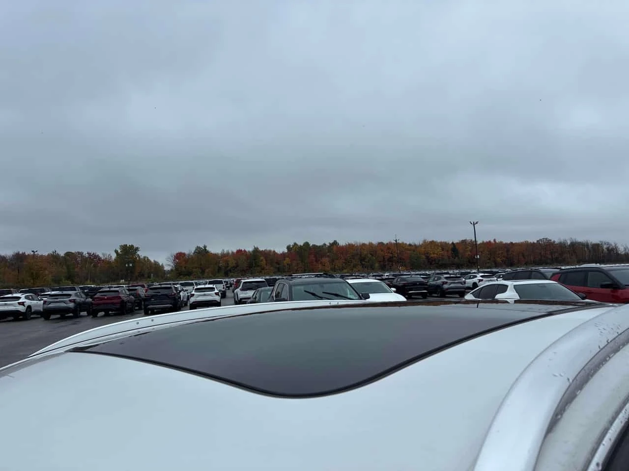 Audi Q3 Progressiv * A��������� * ������ ���������������� | Mobile.bg � ����������� 6