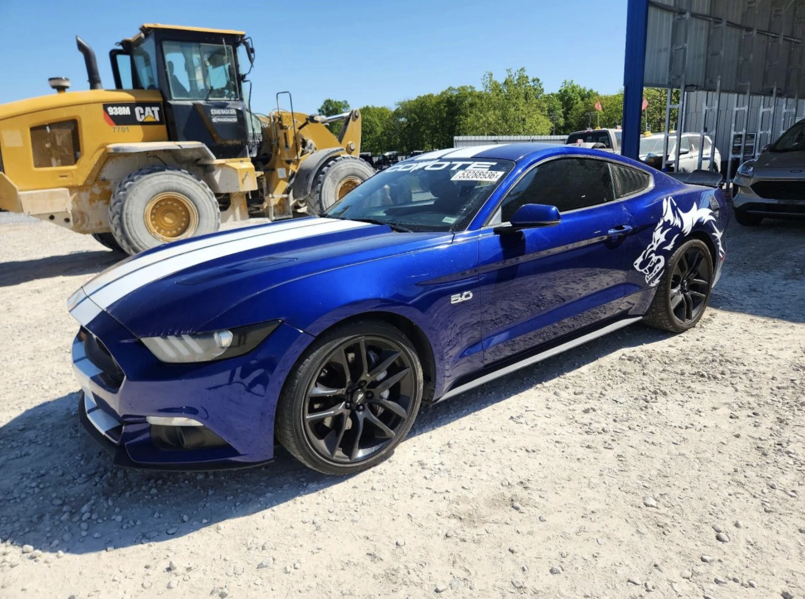 Ford Mustang ����������* ����� ��������� �����*  | Mobile.bg � ����������� 1