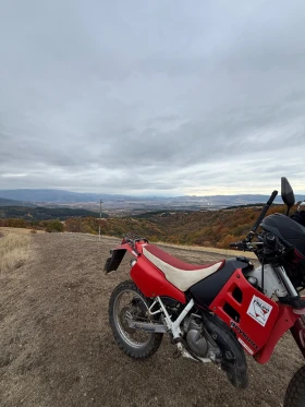 Suzuki TC, снимка 10