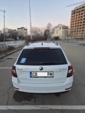 Skoda Octavia - 14500 € / 28359.53 лв. - 25573910 10