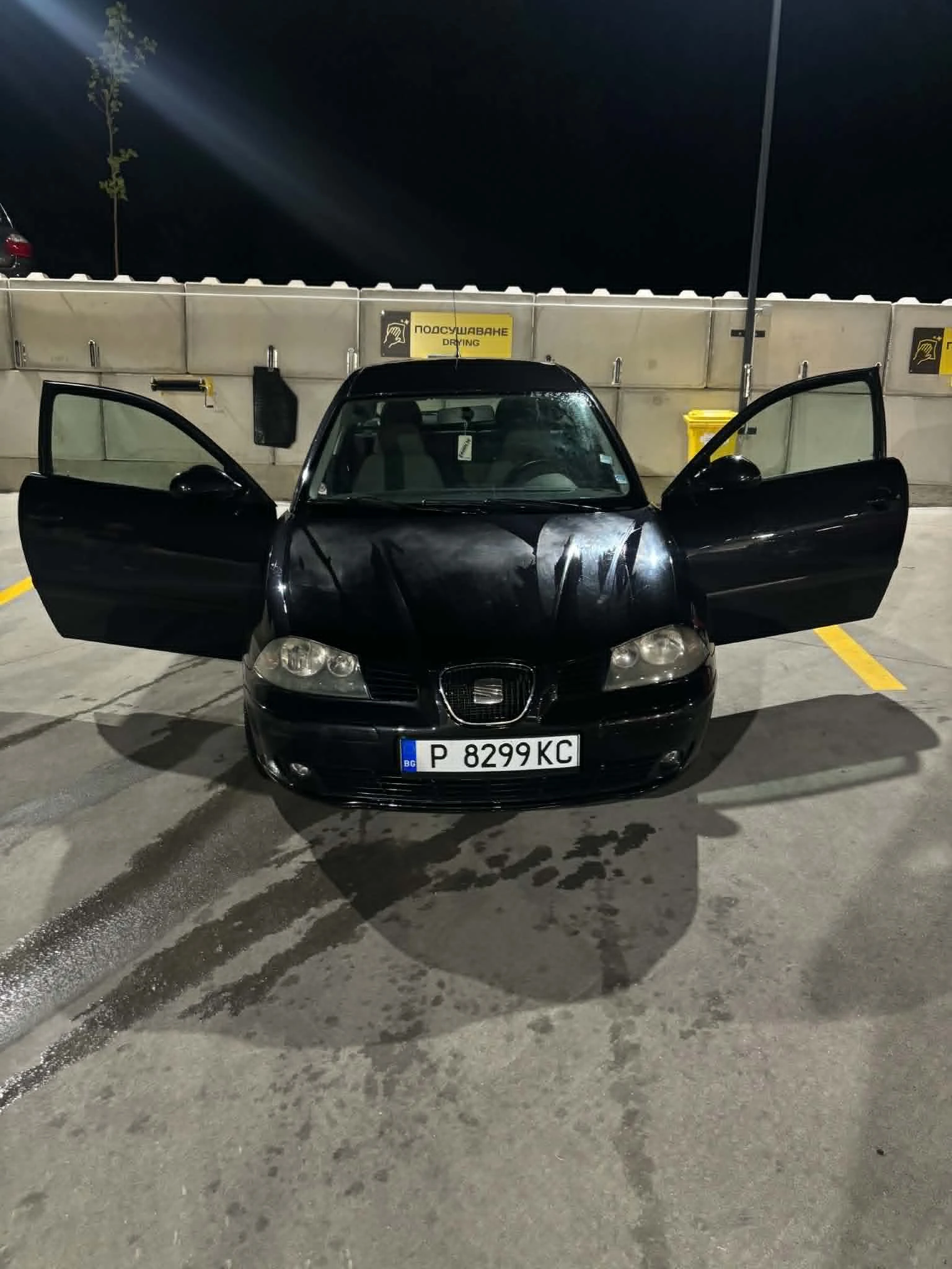 Seat Ibiza