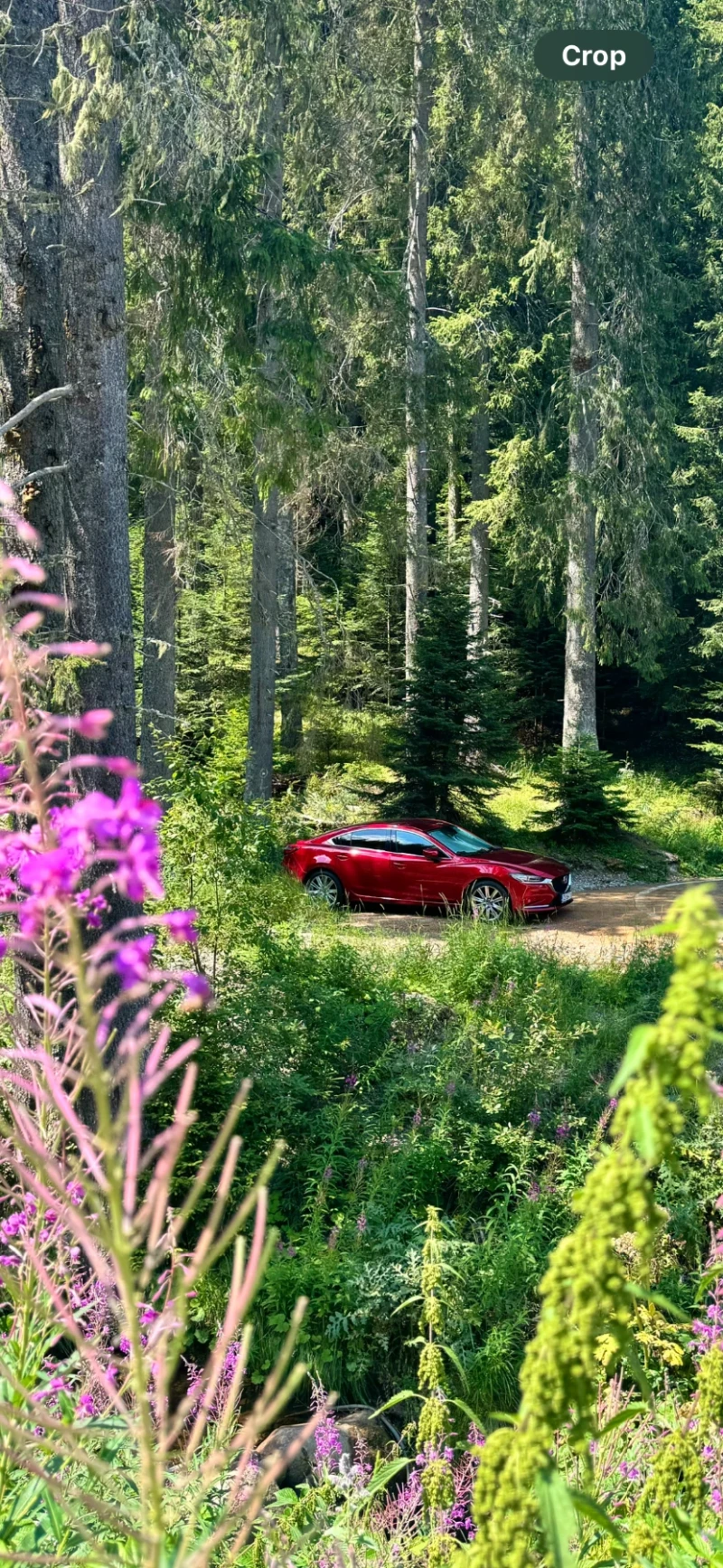 Mazda 6 SEDAN/2.5i/G194/AT/ EXCLUSIVE LINE - 2023, снимка 11 - Автомобили и джипове - 52433617
