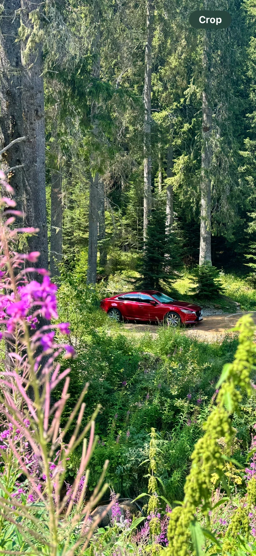 Mazda 6 SEDAN/2.5i/G194/AT/ EXCLUSIVE LINE - 2023 | Mobile.bg � ����������� 11