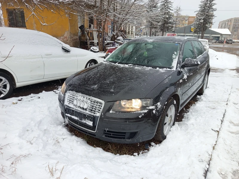 Audi A3 1.9 tdi , снимка 3 - Автомобили и джипове - 48641995