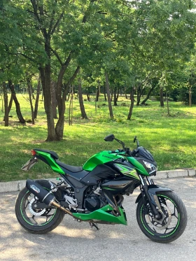����� �� �������� �� Kawasaki Z 300 ABS A2