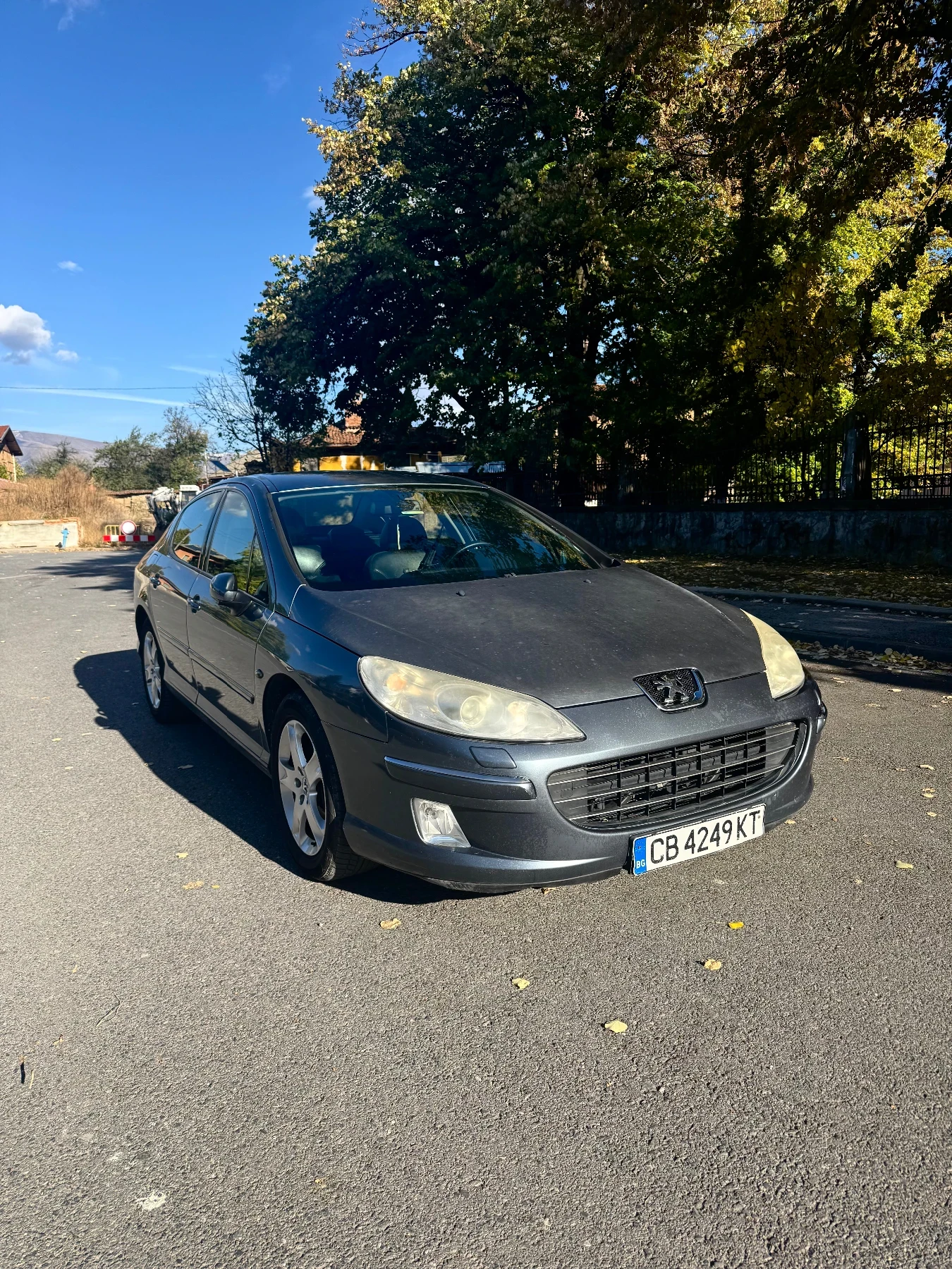 Peugeot 407, снимка 9 - Автомобили и джипове - 56570393