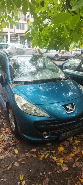     Peugeot 207 SW