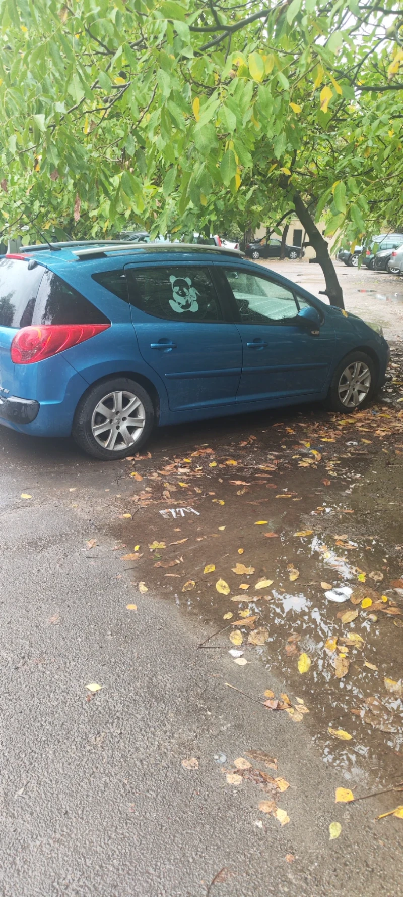 Peugeot 207 SW, снимка 2 - Автомобили и джипове - 52330502